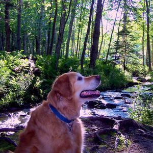 Meet your Posher, Jayne